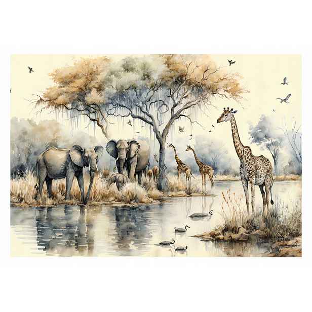 Fototapeta Džungle Safari Dítě Slon 208x146