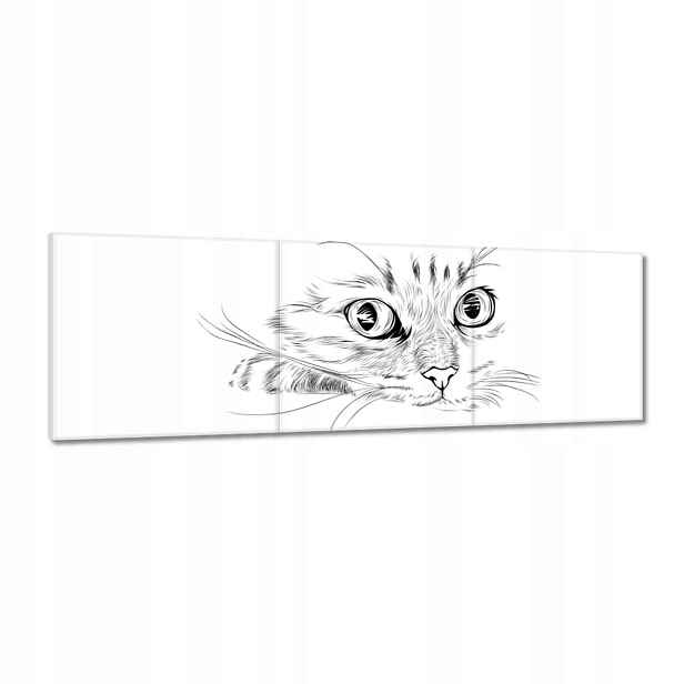 Obrazy 120x40 Kočka Kotě Kočky