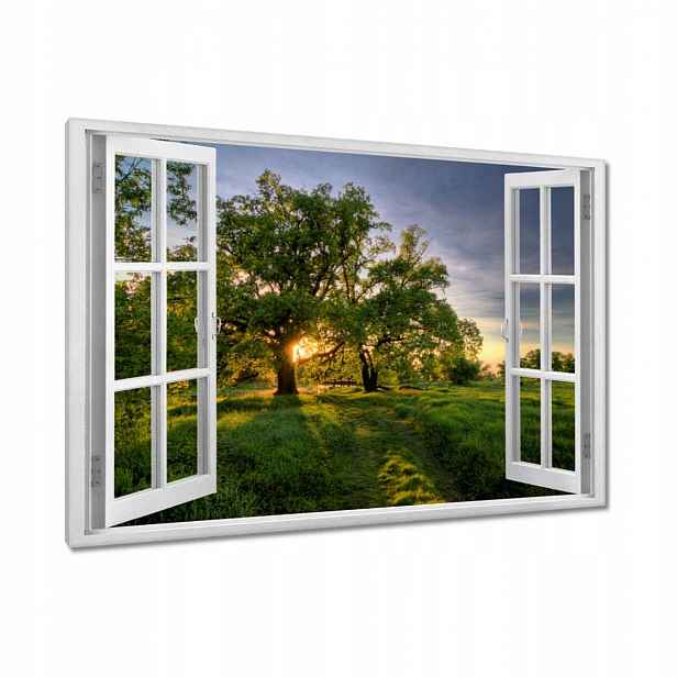 Obrazy 90x60 Rogalinské duby