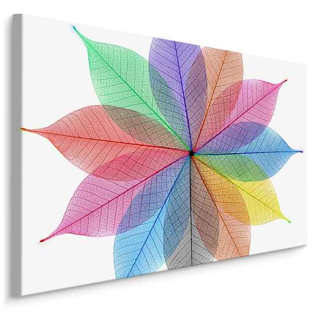 MyBestHome BOX Plátno Barevné Listy V Abstraktní Podobě Varianta: 100x70