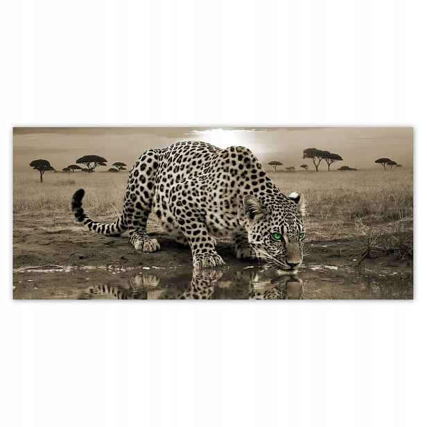 Fototapety 211x91 Tygr Gepard Do Ložnice