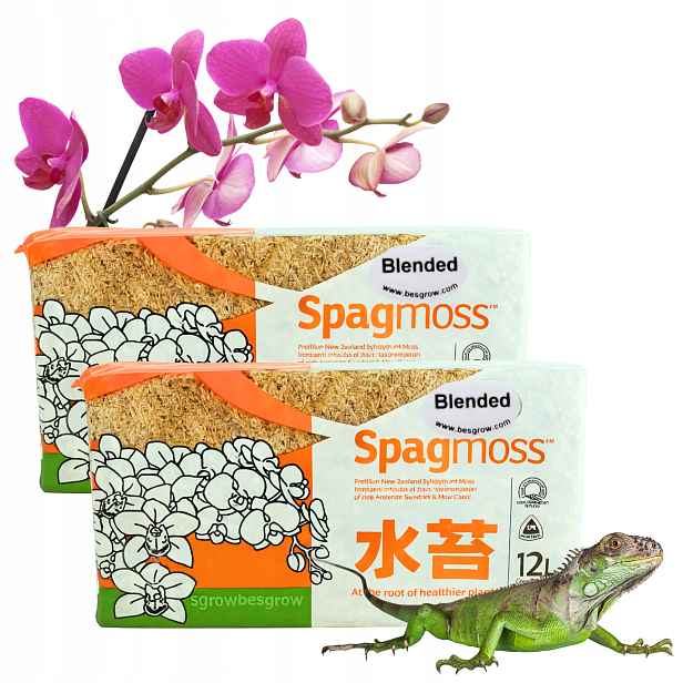 Mech Sphagnum Rašelinový Besgrow SpagMoss 2 x150g 12L Mech Spagnum Substrát