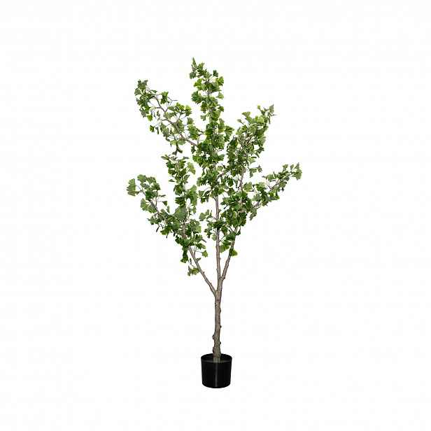 Pottery Pots Realistický umělý strom Ginko Biloba, více velikostí - PotteryPots Velikost: L - ø 40 cm | v. 180 cm