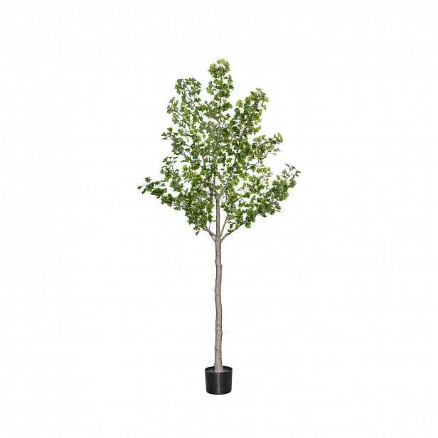 Pottery Pots Realistický umělý strom Ginko Biloba, více velikostí - PotteryPots Velikost: XL - ø 50 cm | v. 270 cm