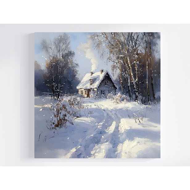 Obraz Na Plátně Canvas Krajina Zima Sníh Mráz Závěje Dům Cesta Vesnice 50x50