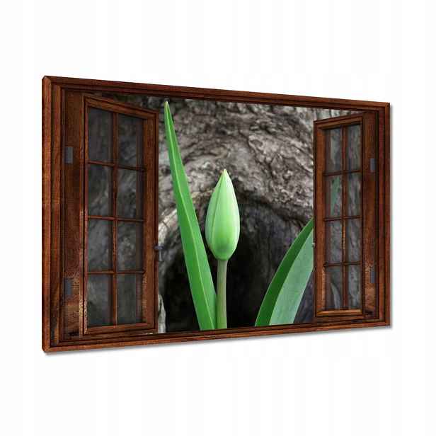 Obrazy 90x60 Zelený tulipán