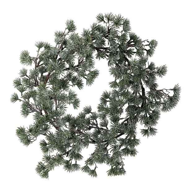 Vánoční věnec ø 50 cm Cedar – Bloomingville