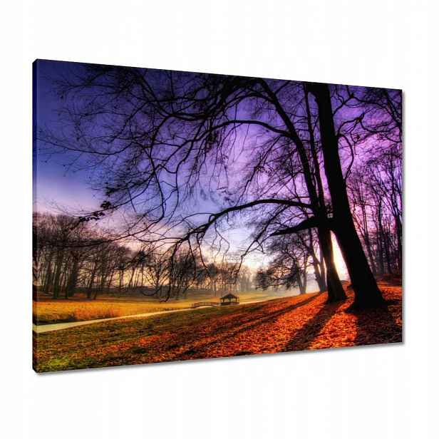 Obrazy 80x60 Park v Wąsowie