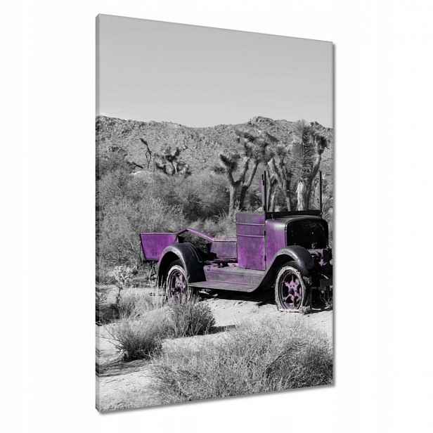 Obrazy 70x100 Fialové auto, ostřené