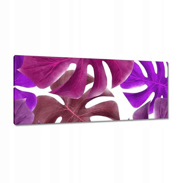 Obrazy 100x40 Monstera Listy Fialová