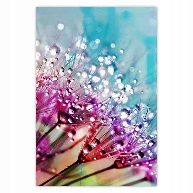 Plakáty 125x185 Kapky rosy Pampeliška