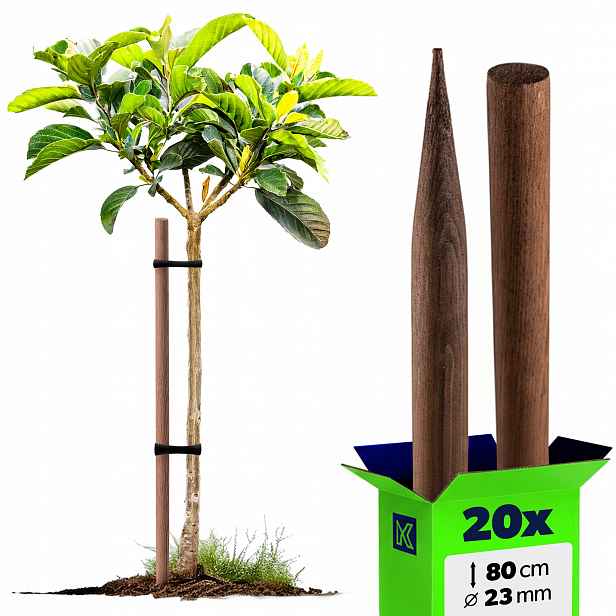 20 Ks Dřevěné Tyčinky Na Rajčata 80 cm Impregnovaná Podpěra Stromků 23 mm