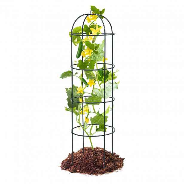 Pergola Zahradní Podpěra Na Květiny 150 cm, pevná pro popínavé rostliny