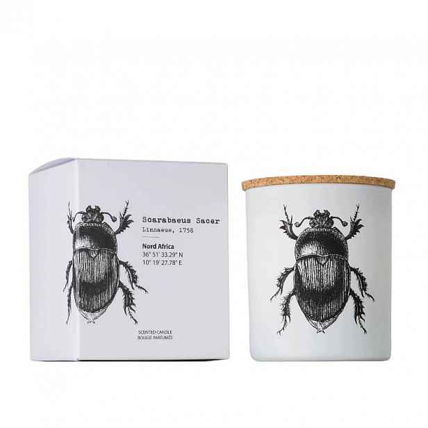 Scarabeus Sacer Vila Hermanos vonná svíčka 190 g, řada Insect Collection