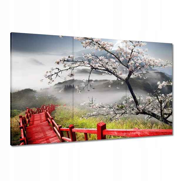 Obrazy 120x80 Červený most v Japonsku