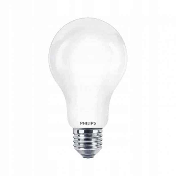 Philips Led žárovka E27 17,5W 2452lm 2700K Teplá A67 10 kusů