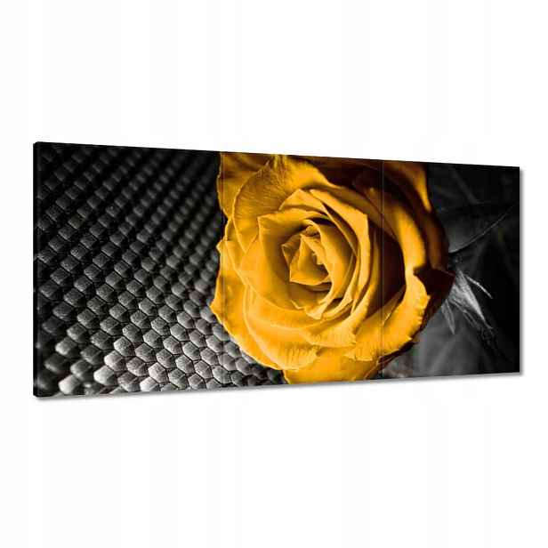 Obrazy 120x60 Žlutá růže