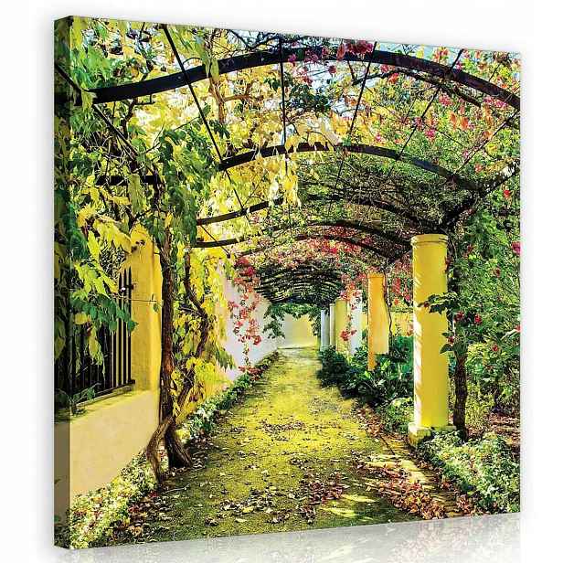 Obraz Na Plátně Plátno 80x80 Zahrada Park Pergola Květy Příroda Natura