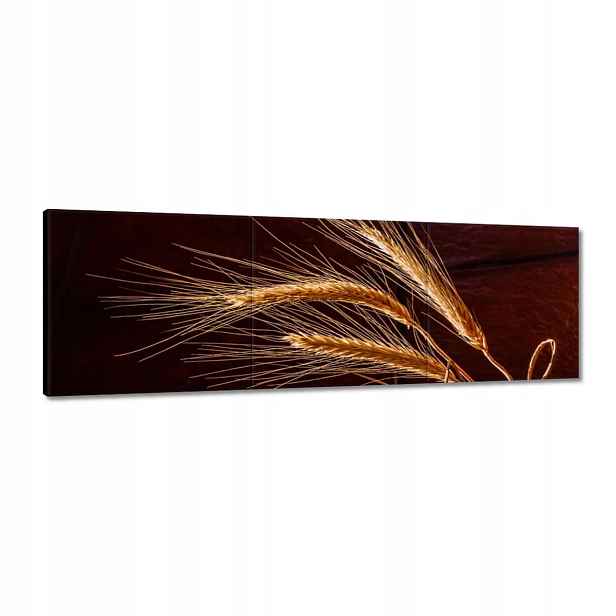 Obrazy 120x40 Plné klasy