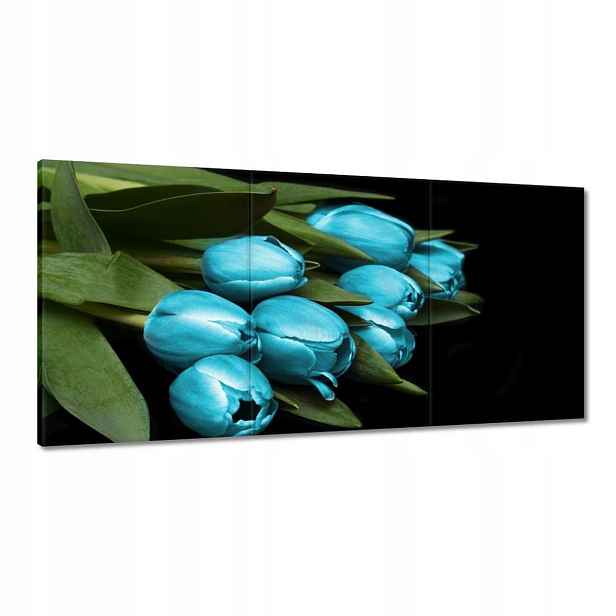 Obrazy 180x90 Tyrkysové tulipány Květina