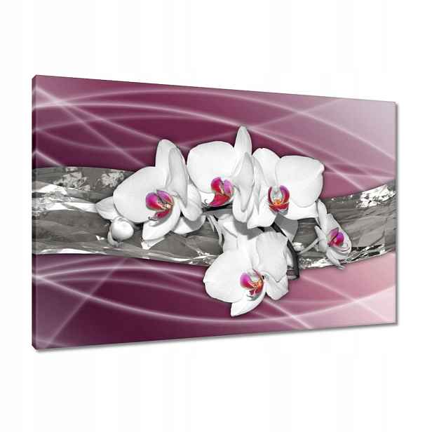 Obrazy 90x60 Bílé orchideje na růžovém pozadí