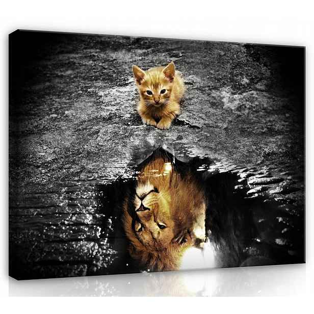 Obraz Na Plátně Canvas 100x75 Kočka Lev Voda Odraz Dospívání Představivost