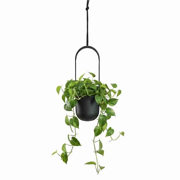 HowHomely Závěsný květináč AERA HANG 17,9 cm antracitový
