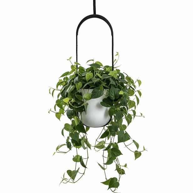 HowHomely Závěsný květináč AERA HANG 17,9 cm bílý