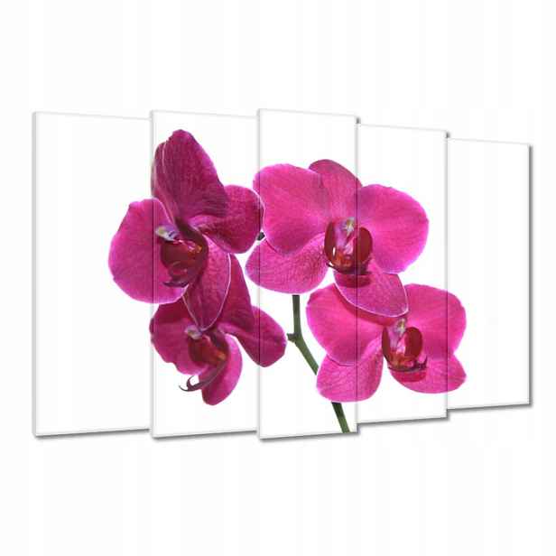 Obrazy 150x95 Fialový orchidej