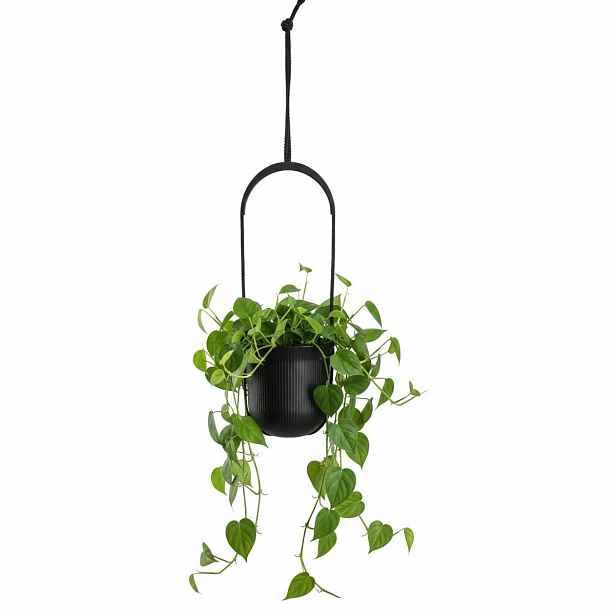 HowHomely Závěsný květináč AERA HANG 17,9 cm černý