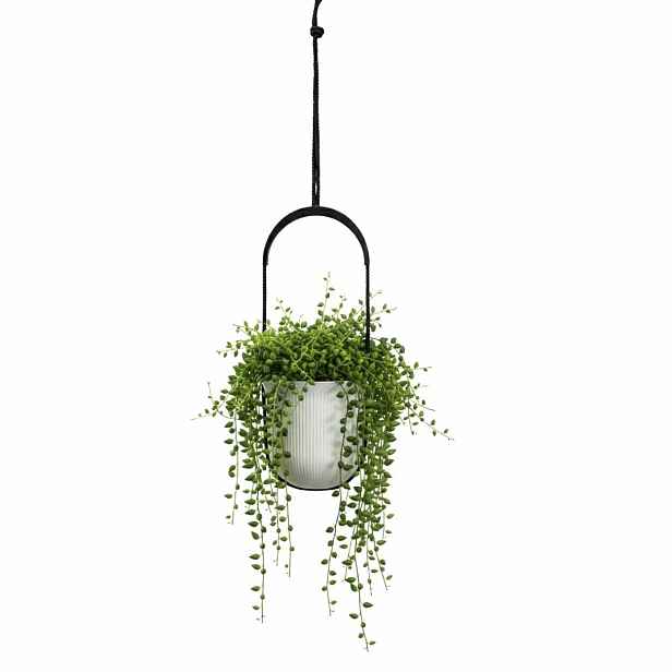 HowHomely Závěsný květináč AERA HANG 17,9 cm krémový