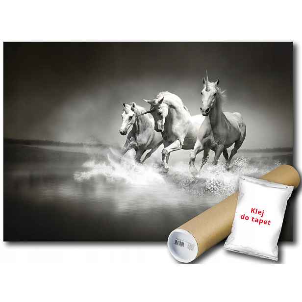 Fototapeta Jednorožec Galop 12B Fxl 208x146 F428