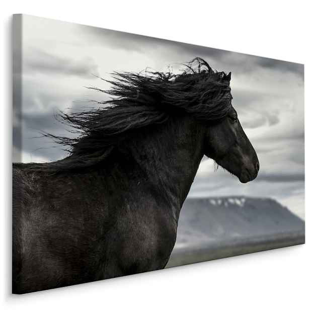 MyBestHome BOX Plátno Černý Kůň I. Varianta: 40x30
