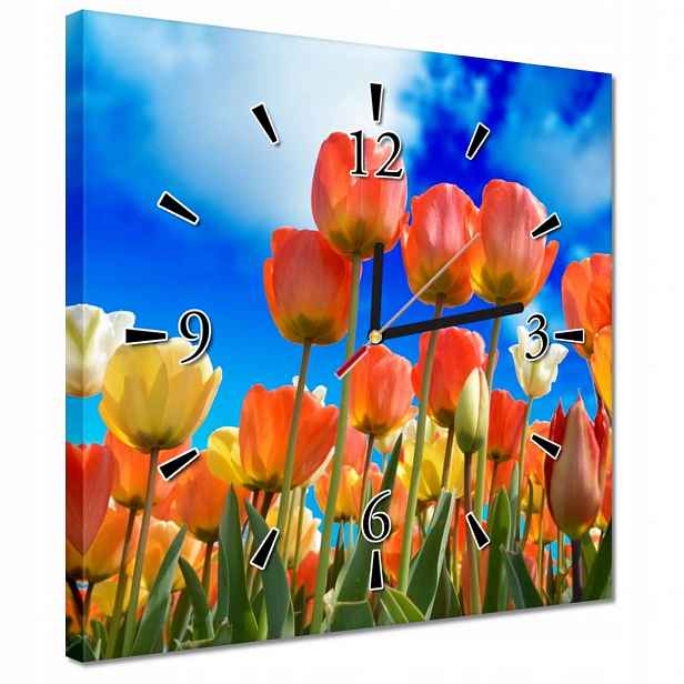 Hodiny 30x30 Barevné tulipány