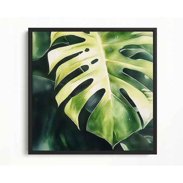 Obraz Rám Americký Box Rostlina Zelená List Monstera Filodendron 60x60