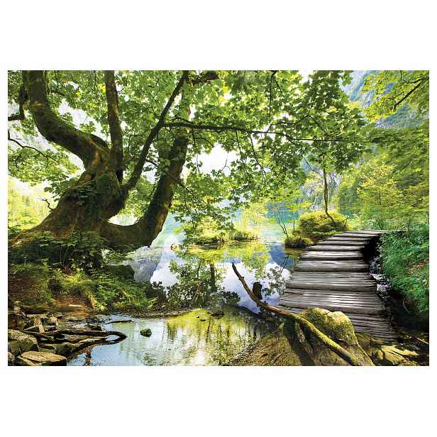 Fototapeta Jezero v lese hory stromy příroda vinyl 368x254 interiér lepidlo