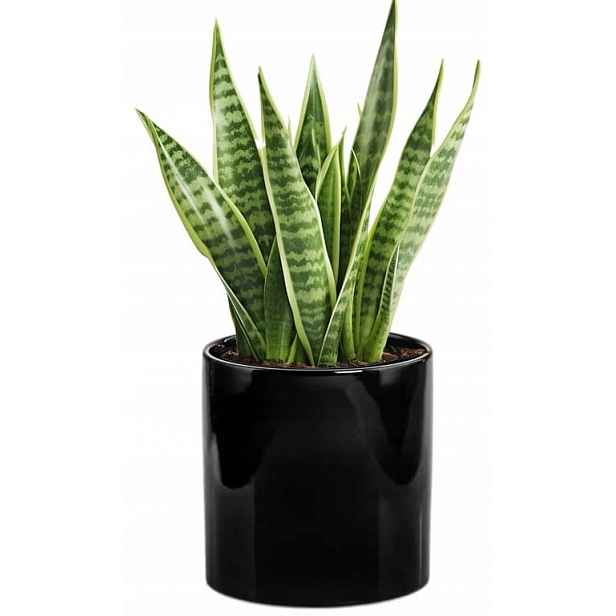 Keramický obal na květiny, černý, ozdobný, 23 cm