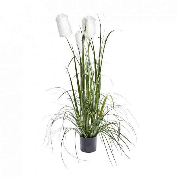 XXXLutz DEKORAČNÍ TRÁVA, 120 cm Ambia Home - 003953001601