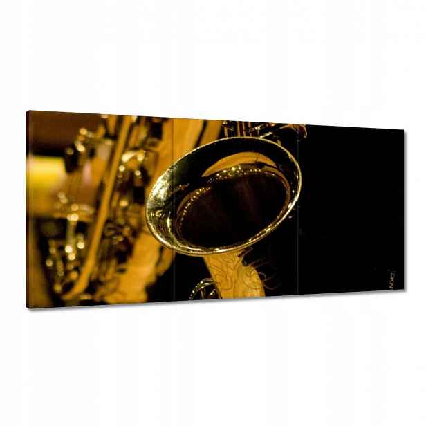 Obrazy 180x90 Saxofon