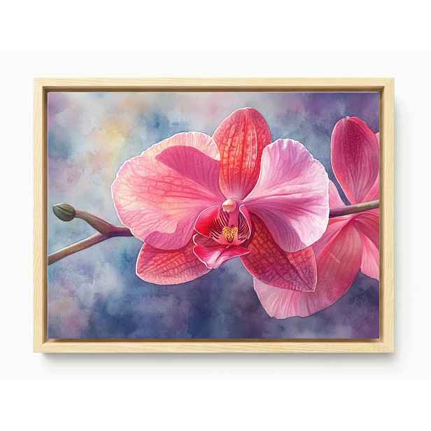 Obraz Rám American Box Grafika Orchidej Květ Růžový Orchidej 80x60