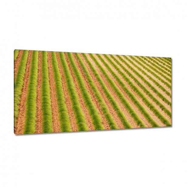 Obrazy 115x55 Zelená Provence