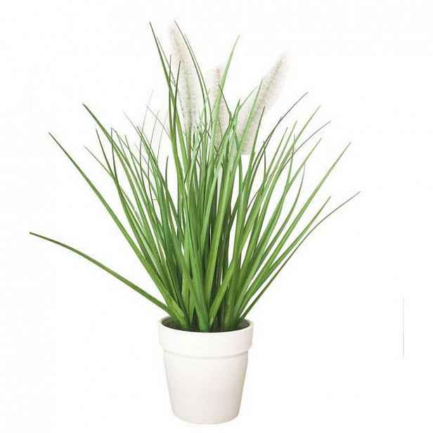 XXXLutz DEKORAČNÍ TRÁVA, 36 cm Ambia Home - 0039530042