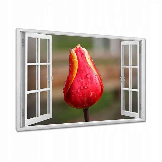 Obrazy 120x80 Červeno-žlutý tulipán