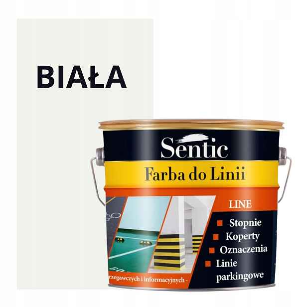 Dragon Sentic Barva na betonu Sentic 3 l bílá