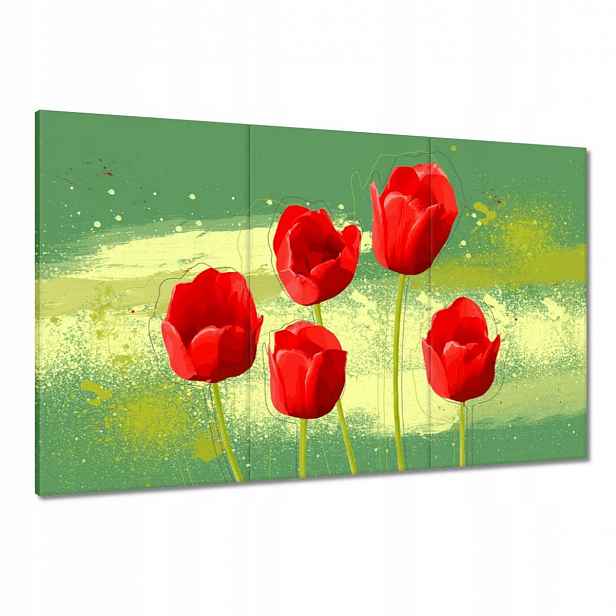 Obrazy 120x80 Červené máky na zeleném pozadí Květiny