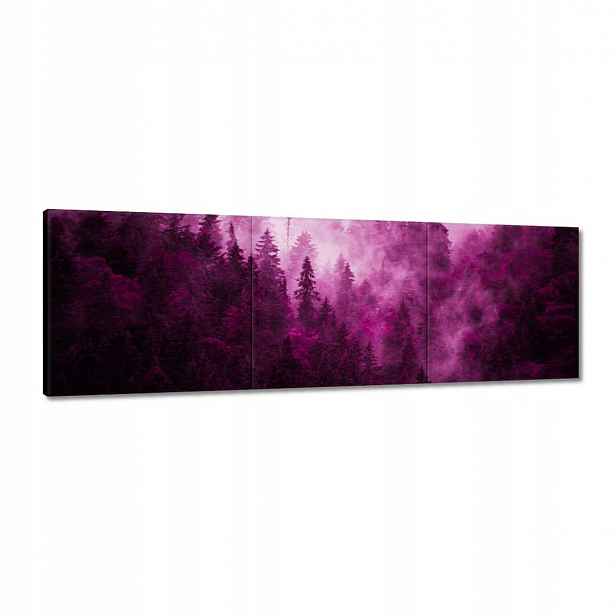 Obrazy 120x40 Krajina růží Hory Mlha