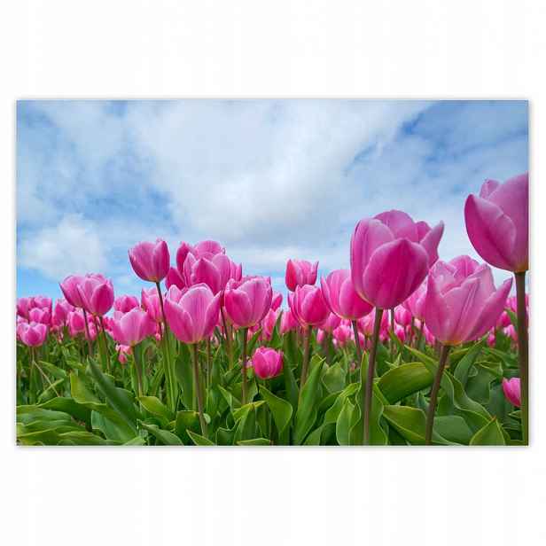 Fototapety 200x135 Tulipány na Valentýna