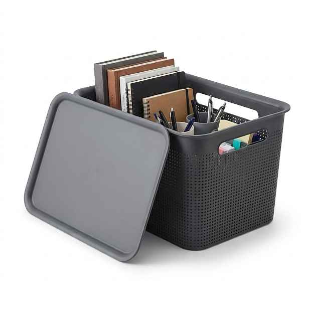 Rotho Úložný box s víkem a s madly BRISEN 16l, 36x26,2x21cm, černý