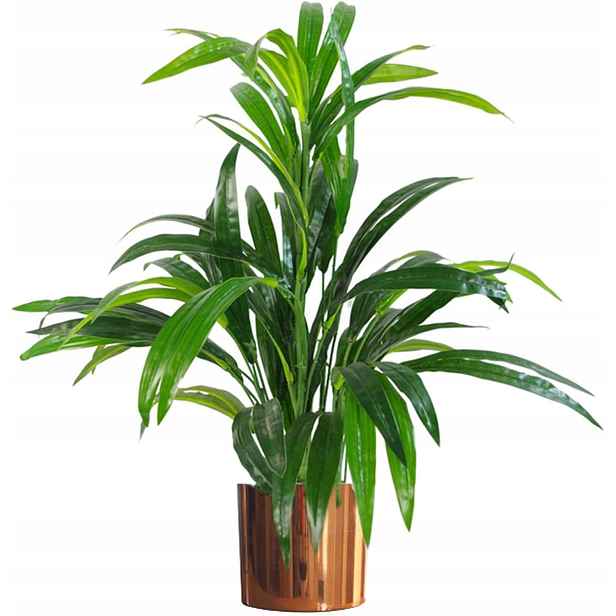 Leaf Design Uk realistická umělá rostlina s listy v květináči, 65 cm