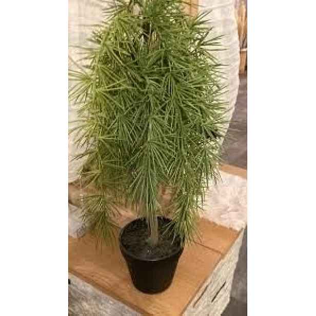 Colmore By Diga Dekorace Strom cedr 58cm